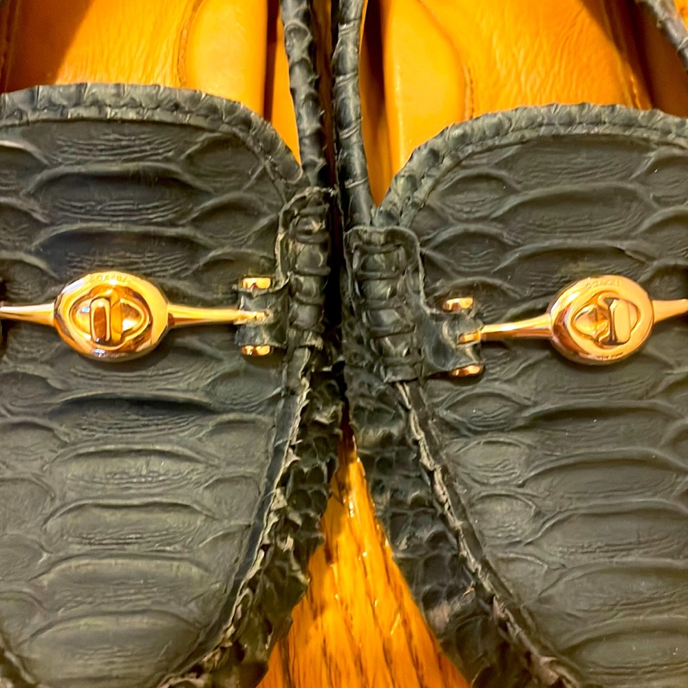 Coach alligator deep blue loafers